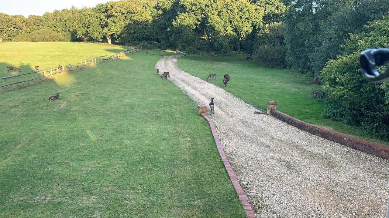 הוילה Langton Matravers Yards Brake On 40 Acres Of Private Land מראה חיצוני תמונה